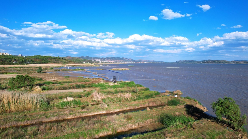 貴州草海國家級自然保護區。王近松攝