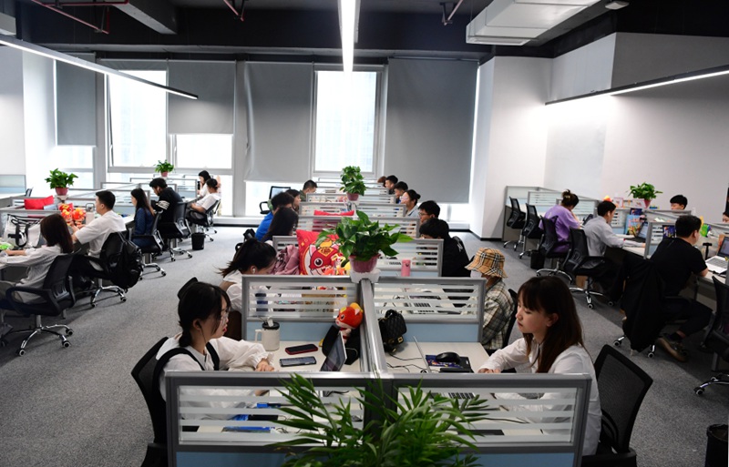 貴陽編程貓科技有限公司。