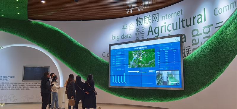 貴陽市白云區智慧菌云平臺。 （白云區委宣傳部 供圖