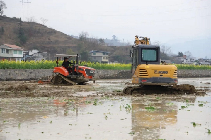 桐梓農業機械化生產現場。 曹園園攝