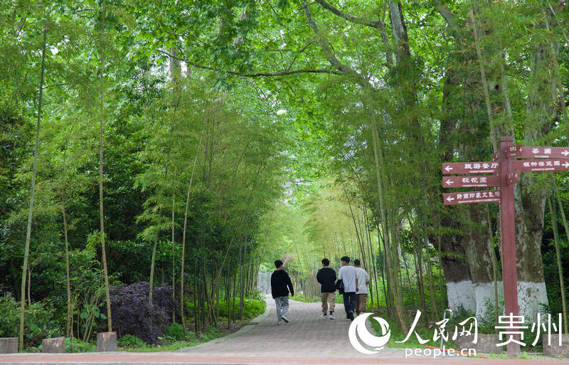 黔南民族職業(yè)技術學院校園一角。人民網 龍章榆攝