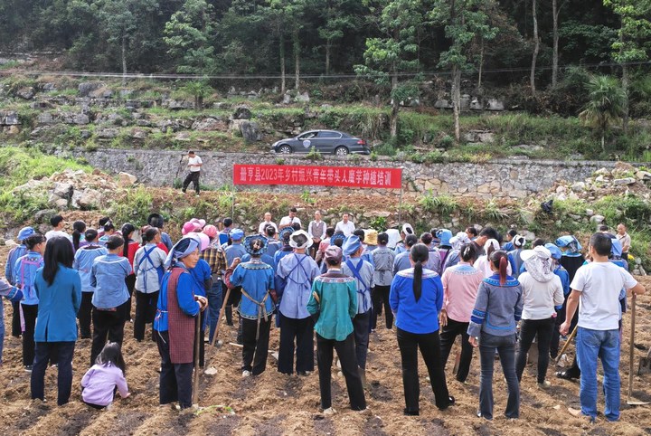 圖為培訓現場。