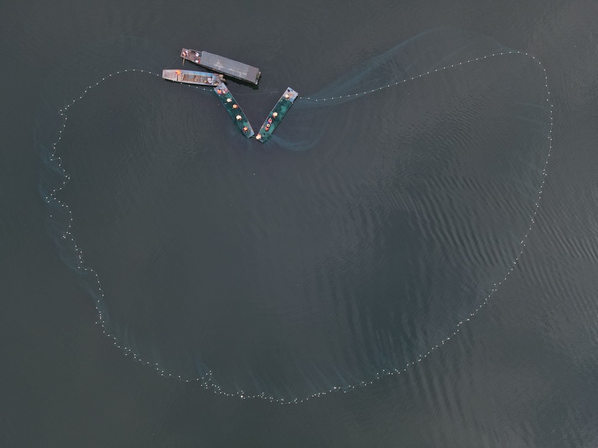 漁場(chǎng)工作人員正在捕撈。馬偉攝  