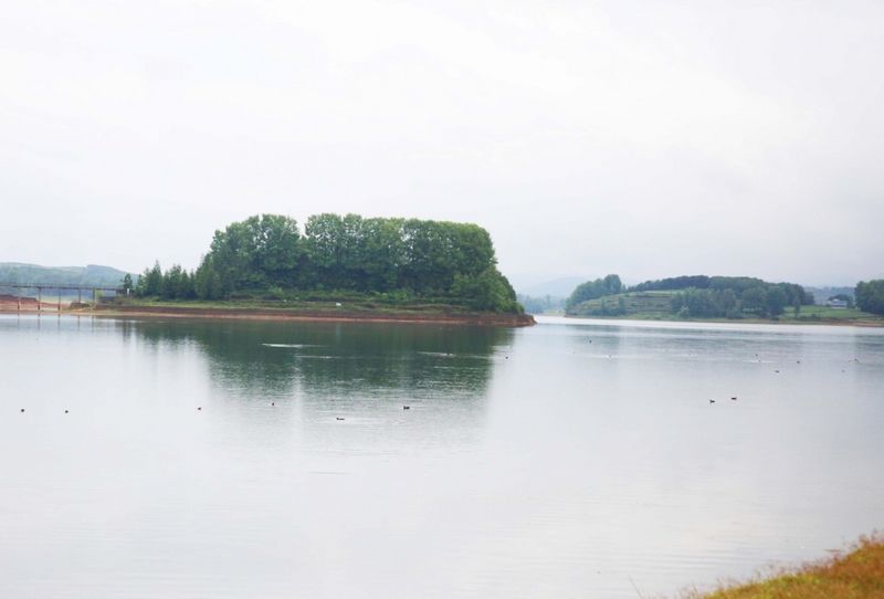 楊灣橋水庫一角。