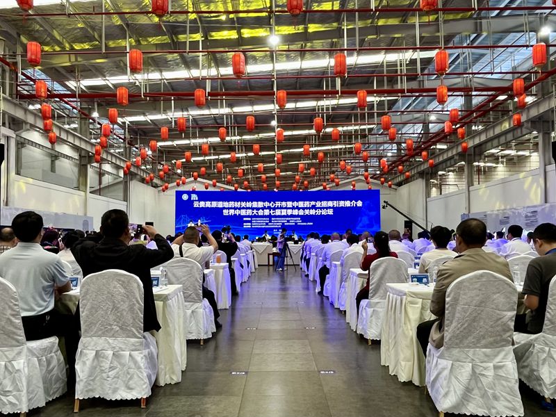 活動現場。人民網李麗萍攝