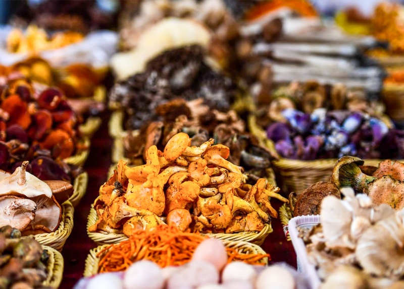 種類豐富的野生菌。龍里縣委宣傳部供圖