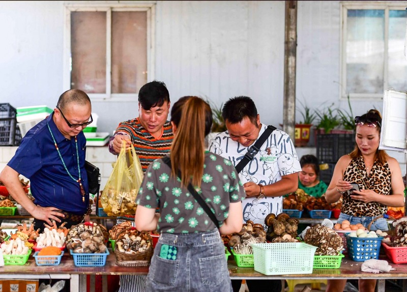 顧客正在選購野生菌。龍里縣委宣傳部供圖