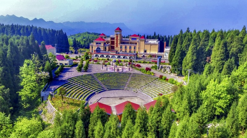 孿生三兄弟護林40余載。