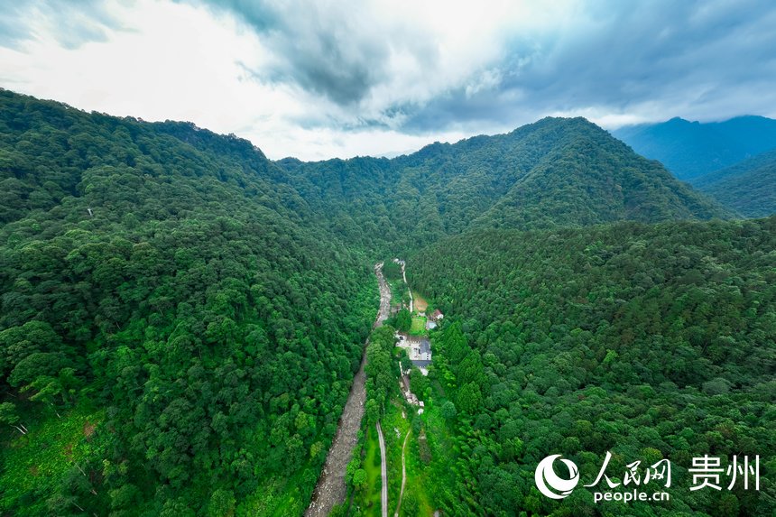 航拍梵凈山國家級自然保護(hù)區(qū)野生動物救護(hù)中心。人民網(wǎng)記者 涂敏攝