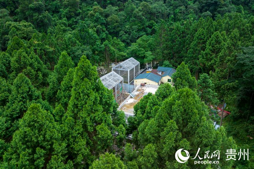 航拍梵凈山國家級自然保護區野生動物救護中心。人民網記者 涂敏攝