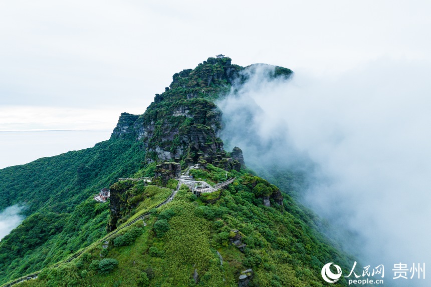 云霧間的梵凈山蘑菇石與老金頂。人民網(wǎng)記者 涂敏攝