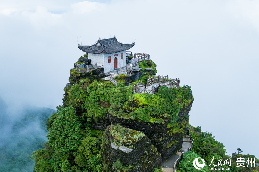 梵凈山老金頂。人民網記者 涂敏攝