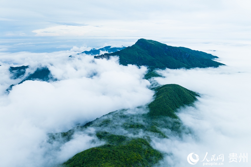 雨后初晴，云霧繚繞的梵凈山。人民網記者 涂敏攝