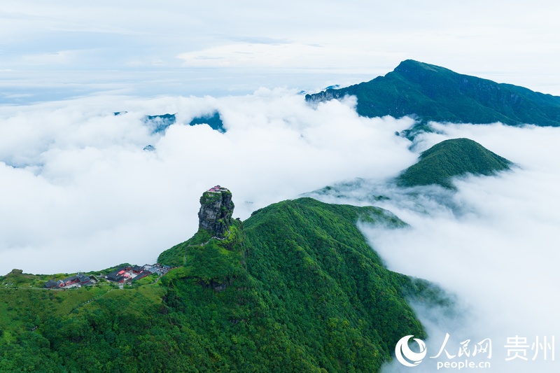 1 航拍貴州銅仁梵凈山。人民網記者 涂敏 攝.jpg