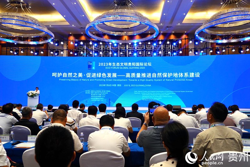 論壇現場。人民網 陽茜攝