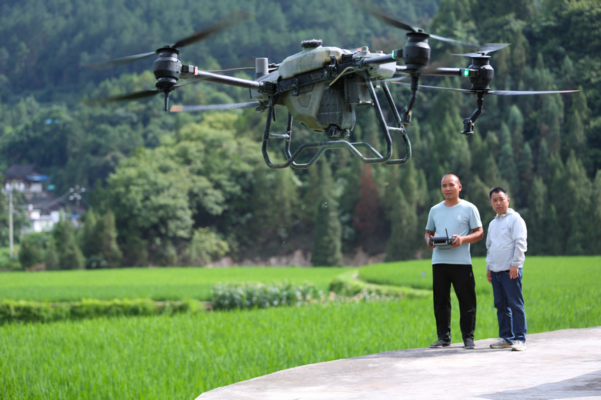 7月10日，技術(shù)員操作植保無(wú)人機(jī)。