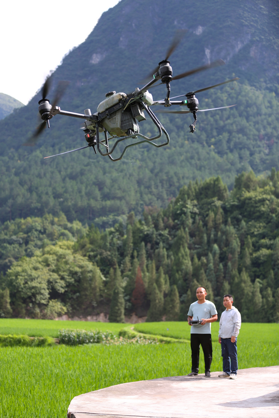7月10日，技術員操作植保無人機。