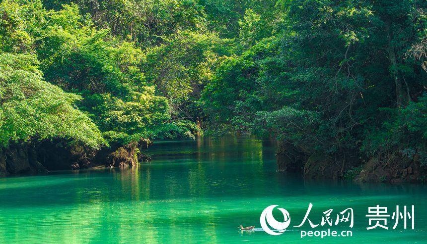 波光粼粼的湖面。人民網 陽茜攝