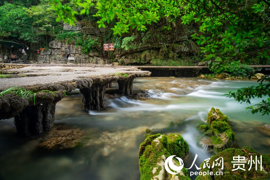荔波被譽為“地球腰帶上的綠寶石”。人民網 涂敏攝