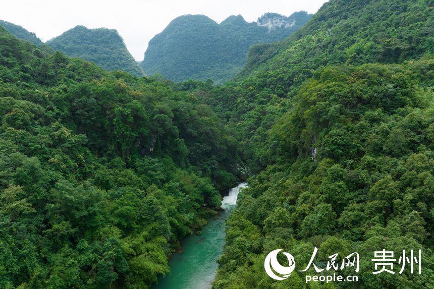 航拍貴州茂蘭國家級自然保護區。人民網 涂敏攝