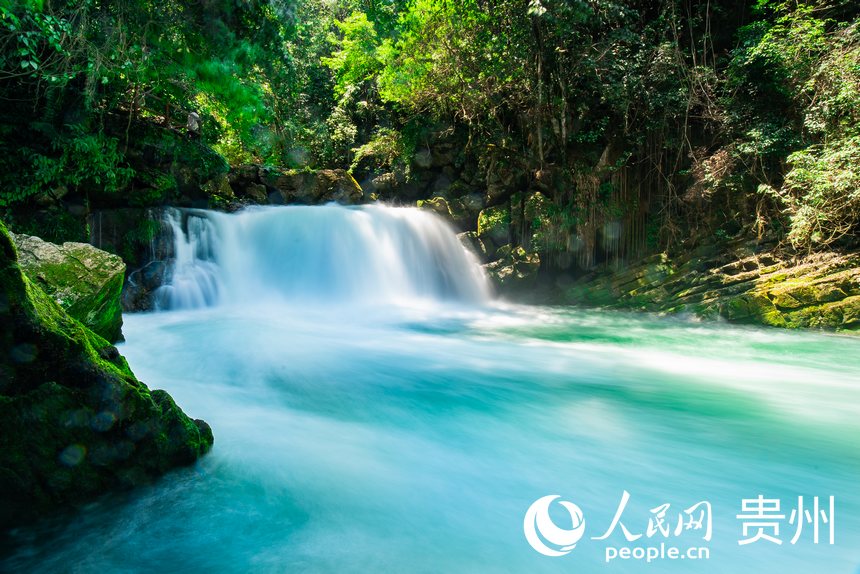 貴州茂蘭國家級自然保護(hù)區(qū)內(nèi)的溪流。人民網(wǎng) 涂敏攝