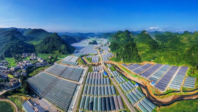 織金縣馬場鎮現代農業產業園。畢節市委宣傳部供圖