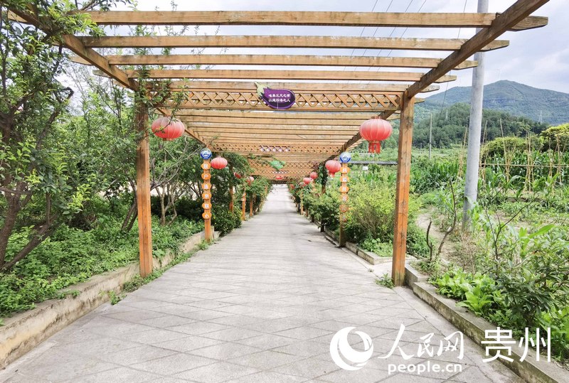 五新村文化長廊。人民網 王秀芳攝