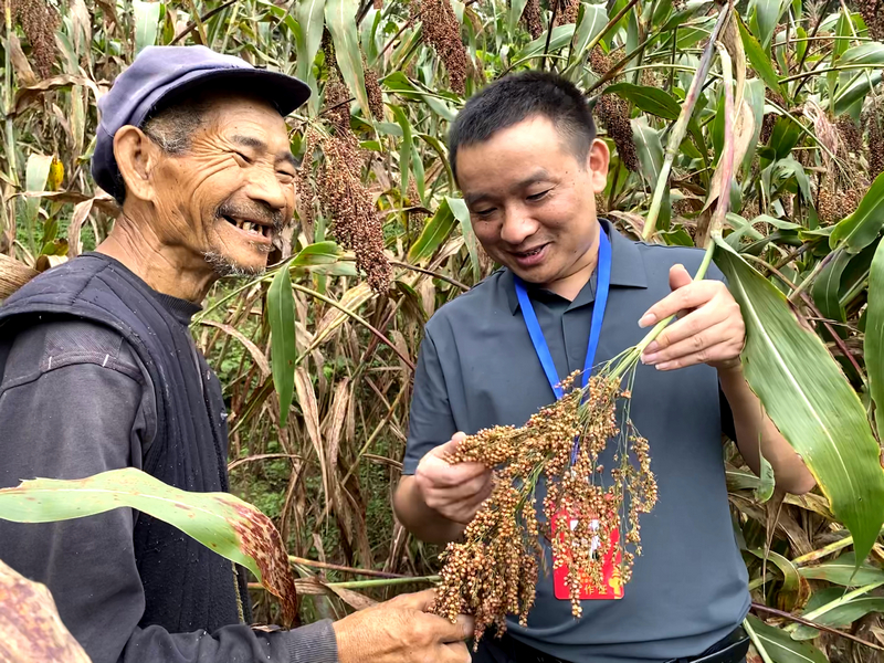 監(jiān)督靠前 營(yíng)造好“糧”風(fēng)。