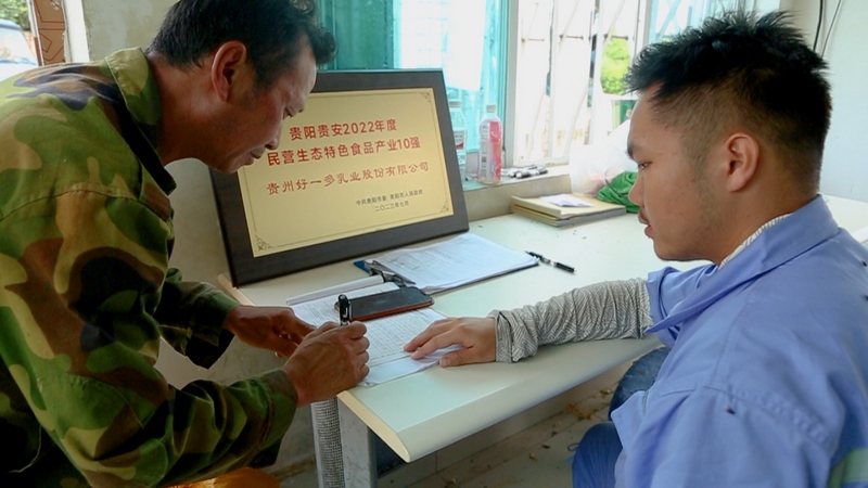 工作人員在對(duì)青貯玉米進(jìn)行質(zhì)量檢測(cè) 張宇攝.jpg