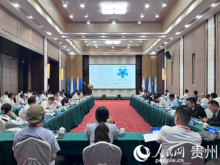 貴州省康養產業招商引才座談會現場。人民網 陳潔泉攝