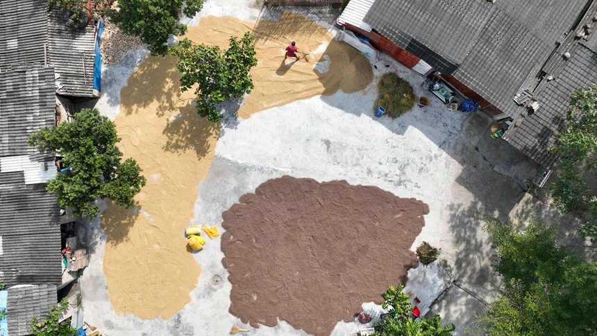 村民在開陽縣禾豐鄉(xiāng)馬頭村晾曬稻谷。袁福洪攝