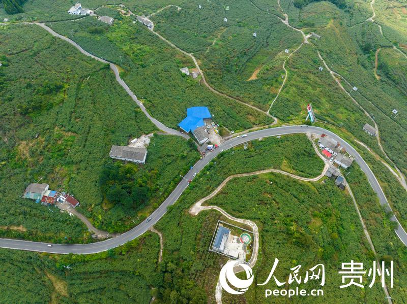 航拍修文平灘村。人民網 陽茜攝