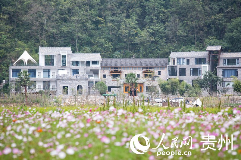 “你家院”內，花海與民宿相互映襯。張宇攝