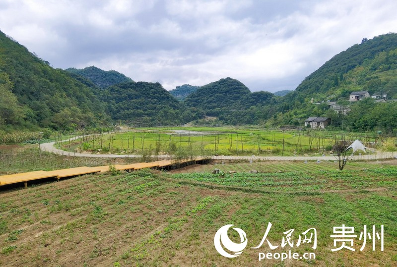 “你家院”田園風光。人民網 王秀芳攝