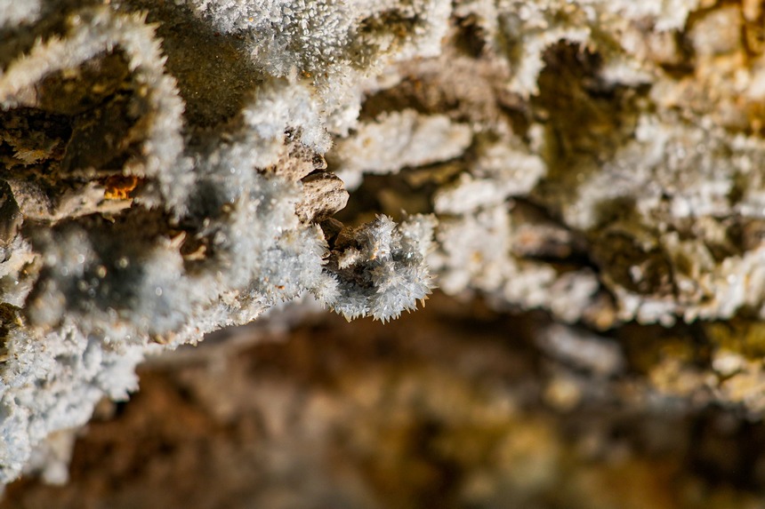 貴州綏陽雙河洞內的石膏結晶。貴州省山地資源研究所供圖