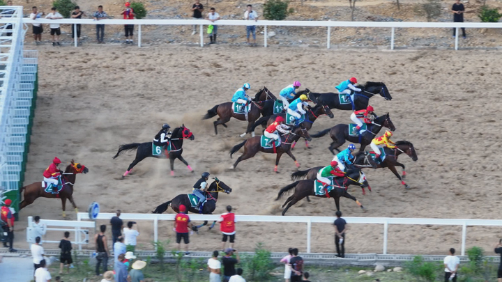 民族賽馬活動(dòng)。