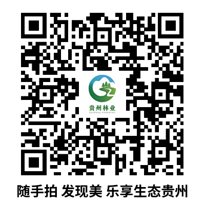 圖 2 “隨手拍 發現美 樂享生態貴州”攝影大賽詳情