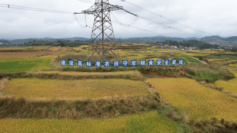 修文縣久長街道清江片區(qū)高標準農(nóng)田--姜繼恒 攝.jpeg