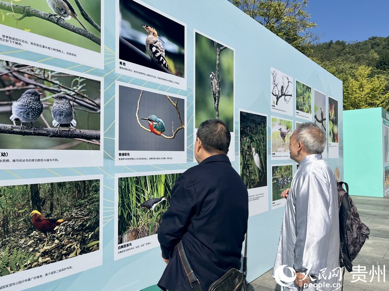 市民觀看生物多樣性主題攝影展。人民網 李麗萍攝