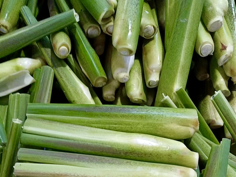 4.剛采割下的冬茭。平塘縣浙黔生態(tài)農(nóng)業(yè)科技有限公司供圖