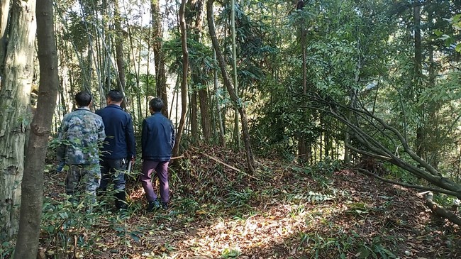 村民自發組織隊伍巡邏山林。