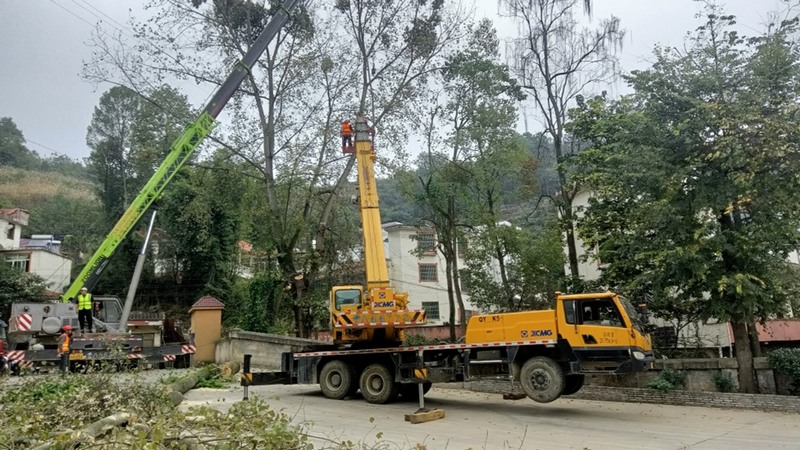 施工隊調來2臺起重機進行吊裝作業正在分割、清理這株隱患行道樹 修文縣融媒體中心姜繼恒 攝.jpeg