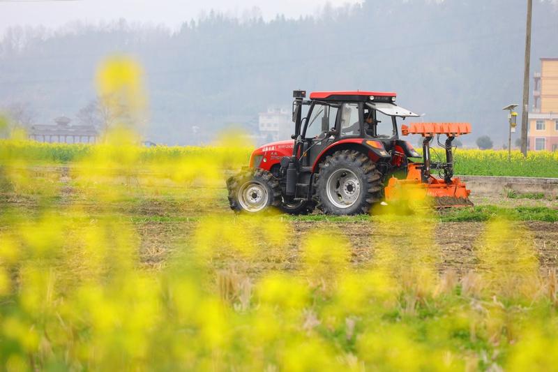 大型旋耕機在劍河縣南明鎮(zhèn)田間耕作。章雨、吳昌連、楊家孟、彭曉梅供圖.jpg