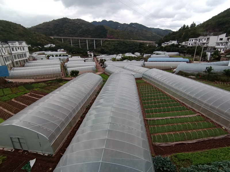5、土城鎮(zhèn)華潤社區(qū)蔬菜保供基地蔬菜種植大棚。習水縣融媒體中心供圖