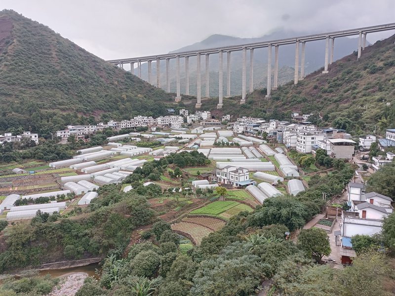 6、土城鎮(zhèn)華潤社區(qū)蔬菜保供基地全景。 習水縣融媒體中心供圖