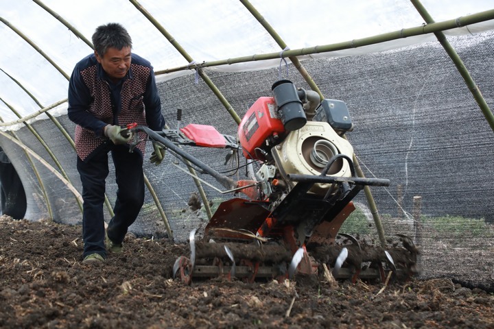 務工群眾整操縱機器拖溝。