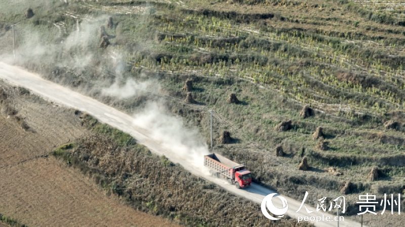 11月25日,航拍貨車經(jīng)過后帶起的灰塵。人民網(wǎng) 涂敏攝