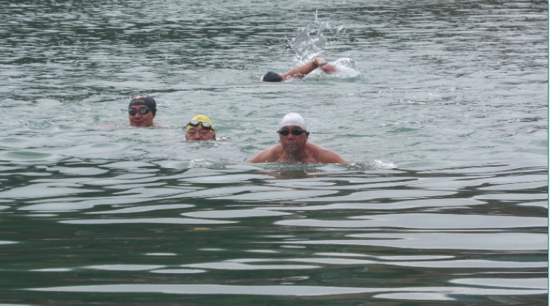 游泳愛好者們在龍川河里冬泳。
