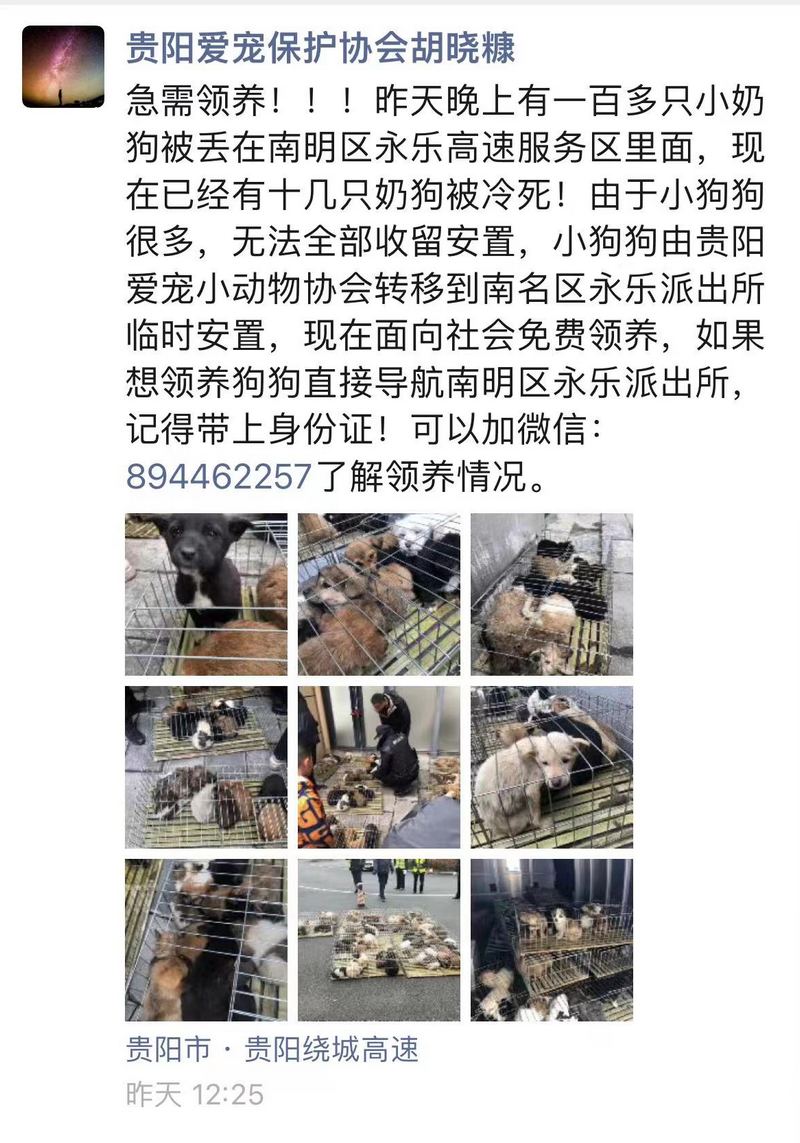 朋友圈“救助消息”截圖。