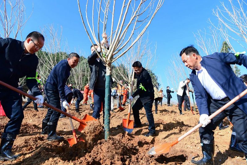 1、植樹(shù)現(xiàn)場(chǎng)。